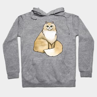 Cat - Persian - Orange Hoodie